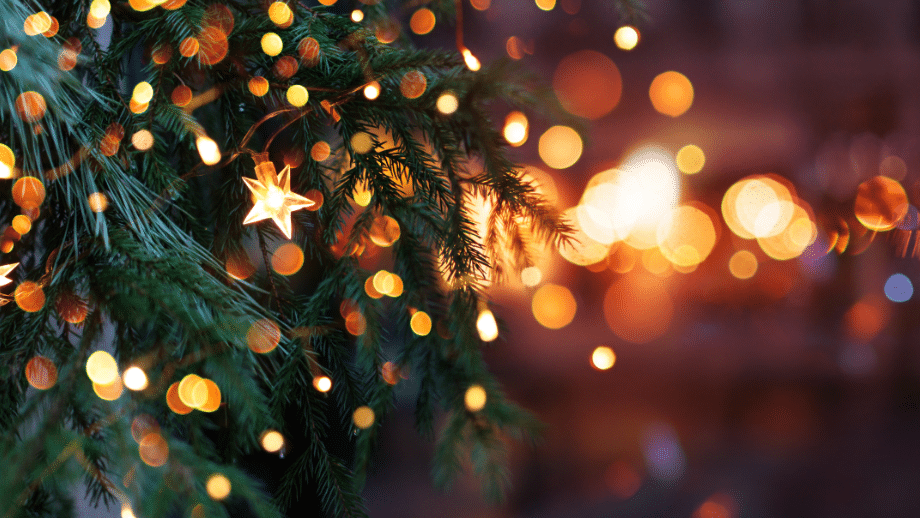 Close-up photograph of yellow lights, some circular and some shaped like stars, on a green Christmas tree